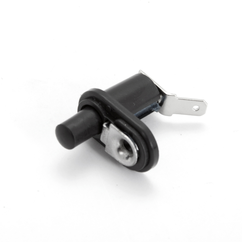 Door Jamb Switch